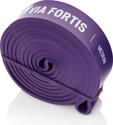 Produktbild von VIA FORTIS Premium Resistance Band + Übungsanleitung und Tasche (LIGHT: 7kg-24kg) - Widerstandsbänder/Klimmzugband und Klimmzughilfe/Fitnessband/Trainings-Bänder für Fitness & Krafttraining