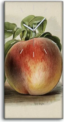 Produktbild von Wandkunst Leinwand Bild Uhr 30x60 Gemälde Früchte Pfirsich Blätter Kunst - weiße Hände