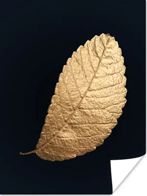Produktbild von MuchoWow® Poster Gold - Blätter - Schwarz - Pflanzen - Luxus - Natur 90x120 cm - Wohnzimmer