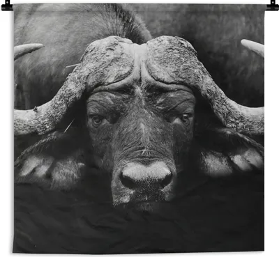 Produktbild von MuchoWow® Wandteppich Wandbehang Tiere - Büffel - Schwarz - Weiß - Porträt 120x120 cm Tapisserie Dekoration Wandtuch - Modern - Baumwollgewebe