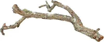 Produktbild von Tronchos Korkäste-Mix 1 kg/ø 2–10 cm/25–75 cm