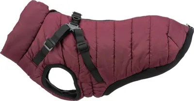 Produktbild von TRIXIE Geschirr-Wintermantel Pirou - sangria - 270L x 460H x 20B