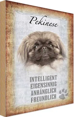 Produktbild von vianmo Holzschild 30x20 cm Pekinese Hund Tier Haustier