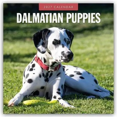 Image de Chiots dalmatiens - Calendrier de 16 mois (2027)