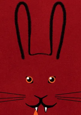 Produktbild von Bunnicula