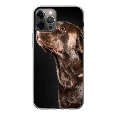 Produktbild von MuchoWow® Handyhülle Schutzhülle Hülle für iPhone 13 Pro Hund - Braun - Porträt Silikon Softcase Handy Hülle - Handy-Tasche