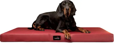 Produktbild von tierlando® Orthopädische Hundematratze ALICE EASY CLEAN Kunstleder Hundebett - Größe: 100x80cm | Farbe: 04 Dunkelrot