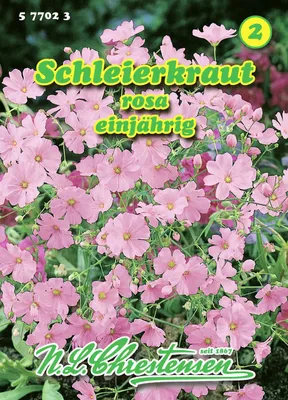 Produktbild von Schleierkraut rosa | Blumensamen von N.L. Chrestensen