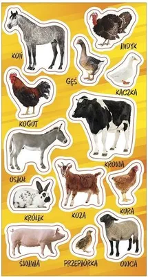 Image de Naklejki Zwierzęta domowe