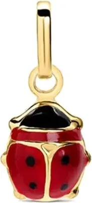Produktbild von Damenanhänger Stroili 1410273 Gold Rot