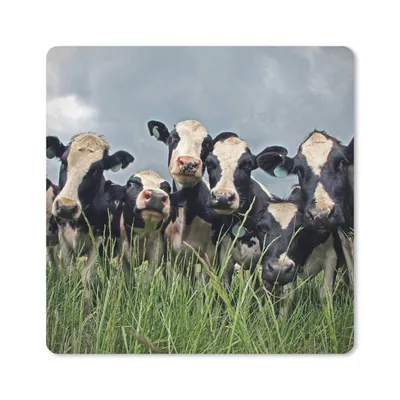 Produktbild von MuchoWow® Mauspad Mousepad Kuh - Wolken - Gras - Tiere 20x20 cm - Mousepads - Maus Mat - Pad - Mausunterlage - Desk Mat - Bureauartikeln