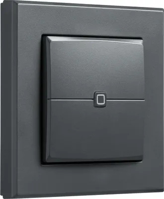 Image de Homematic IP bouton-poussoir mural - double - anthracite | eQ-3 | HmIP-WRC2-A