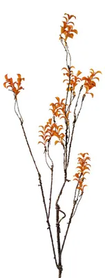 Image de Clayre & Eef Fleur artificielle 110 cm orange plastique