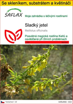 Obrázek produktu pro SAFLAX Kultivační sada - sladký jetel - Melilotus officinalis - 250 Semena - S mini skleníkem, pěstebním substrátem a 2 květináči