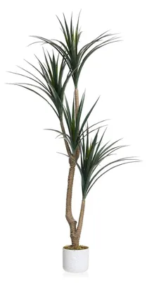 Produktbild von Künstlicher Drachenbaum 165 cm - Dracaena Kunstpflanze im Topf - Hohe Bodenpflanze für Innenbereich - PE-Kunststoff - Deko für Zuhause & Büro - Weißer Topf - Grün