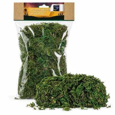 Imagen del producto de Dekomoos Grün 50 g: Musgo verde de 50 gramos, ideal para belenes, maquetas, dioramas, decoración floral y proyectos de bricolaje