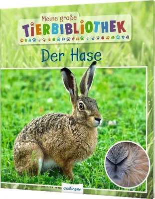 Produktbild von Meine große Tierbibliothek: Der Hase