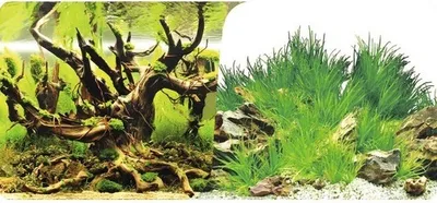 Produktbild von Fotorückwand Motiv 10 120x50 cm