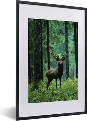 Produktbild von MuchoWow® Gerahmtes Poster Hirsche - Wald - Bäume - Tiere - Natur 40x60 cm - Poster mit Schwarzem Bilderrahmen Wandposter Rahmen Foto Bilder - Poster in Rahmen
