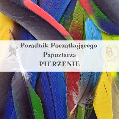 Zdjęcie produktu dla Poradnik ParrotPlanet - Poradnik Początkującego  Papuziarza - Pierzenie - czyli co każdy papuziarz wiedzieć powinien