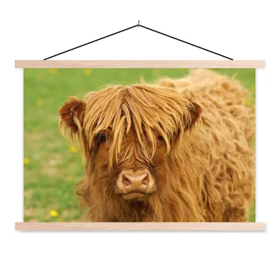 Produktbild von MuchoWow® Textilposter Schottischer Highlander - Braun - Gras 120x80 cm mit holzfarbenen Rahmen - Aufhängeset