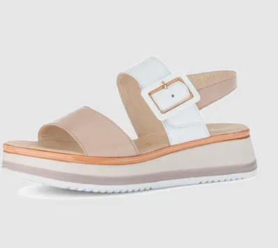 Image de GABOR comfort Sandale femme rose 40