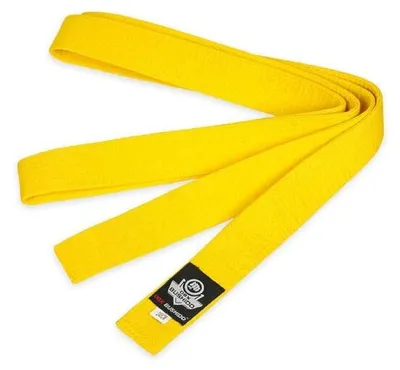 Obrázok produktu pre Žltý opasok k kimonu DBX BUSHIDO. Rozmery: 280 cm