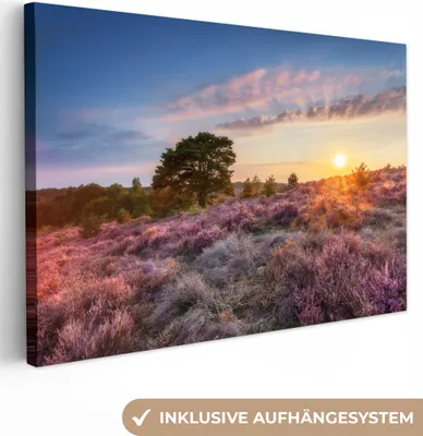 Zdjęcie produktu dla MuchoWow® - Obraz na płótnie - Wrzosowisko o zachodzie słońca, fototapeta, dekoracja ścienna, obrazy do salonu, 120x80cm