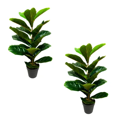 Produktbild von Lacers SMARAGDLINE künstliche Fiddle Fig Pflanze 60cm - 2er Pack- Deko Kunstpflanze - künstliche Pflanzen wie echt für Wohnzimmer, Schlafzimmer & Büro