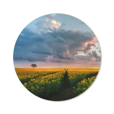 Produktbild von MuchoWow® Mauspad Mousepad Blumen - Gelb - Sonnenuntergang 20x20 cm - Mousepads - Maus Mat - Pad - Mausunterlage - Schreibtischmatte