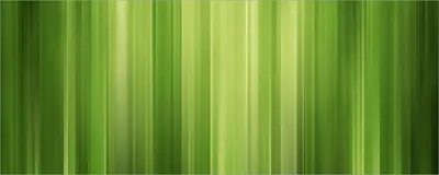 Produktbild von Wallario selbstklebendes Poster - Grün und schwarz gestreift - Abstraktes Streifenmuster, Größe: 80 x 200 cm