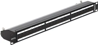 Produktbild von Delock - Patch Panel - CAT 6a - RJ-45 X 24 - Jet Black, RAL 9005 - 1U - 48.3 cm (19")