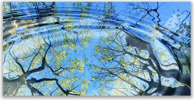 Produktbild von Tulup Leinwand-Bilder 120x60 Wandbild Canvas Kunstdruck Wasser Bäume Kunst