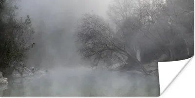 Produktbild von MuchoWow® Poster Nebel - Wald - Spanien 160x80 cm - Foto Poster