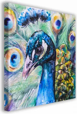 Zdjęcie produktu dla OBRAZ NA PŁÓTNIE 081 Paw 40x40cm