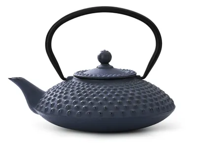 Immagine prodotto di BREDEMEIJER Teiera Asia Xilin 1,25 litri blu