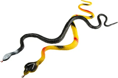 Image de Slang, 46cm