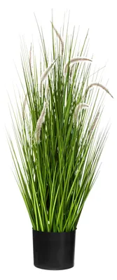 Obrázek produktu pro Kytice kočičí máty v květináči, výška 100 cm