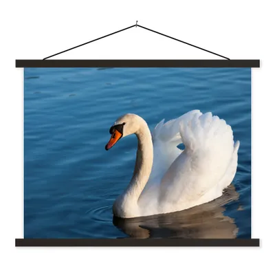 Produktbild von MuchoWow® Textilposter Schwan - Wasser - Vogel - Weiß 120x90 cm mit schwarzem Rahmen - Aufhänger für Poster