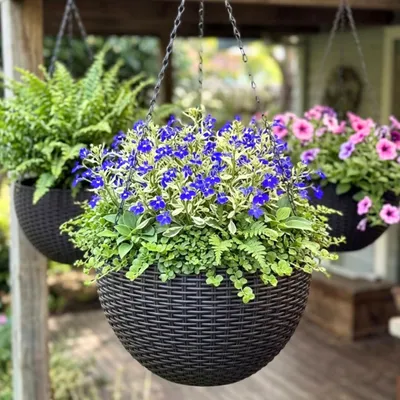 Immagine prodotto di Set di 3 vasi pensili per piante con sistema di autoirrigazione
