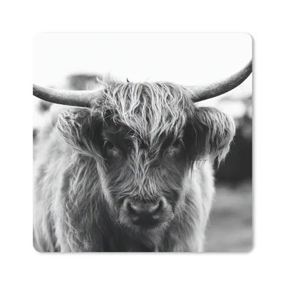 Produktbild von MuchoWow® Mauspad Mousepad Schottischer Highlander - Kuh - Gras - Tiere - Natur 20x20 cm - Mousepads - Maus Mat - Pad - Mausunterlage - Desk Mat - Bureauartikeln