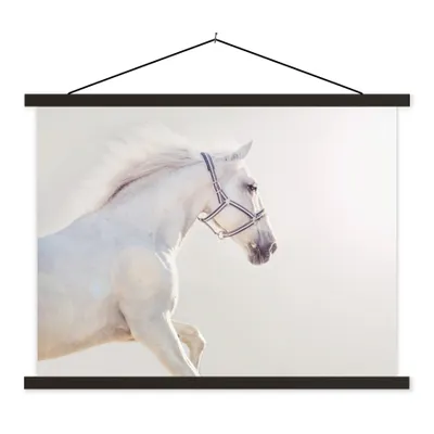 Produktbild von MuchoWow® Textilposter Pferd - Weiß - Mähne 60x45 cm mit schwarzem Rahmen - Poster Schlafzimmer