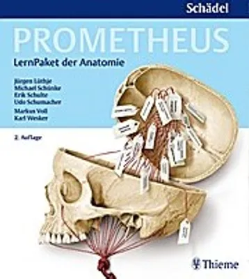 Obrázok produktu pre PROMETHEUS LernPaket Anatomie Schädel