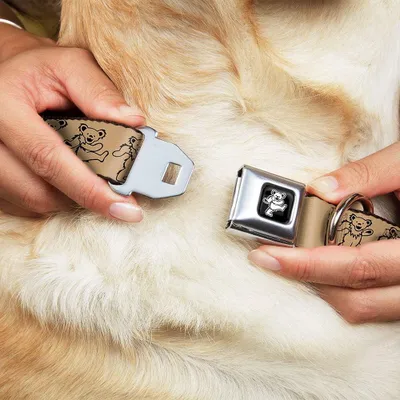 Productafbeelding van Famanu halsband voor honden met veiligheidssluiting - Zwart/Zilver