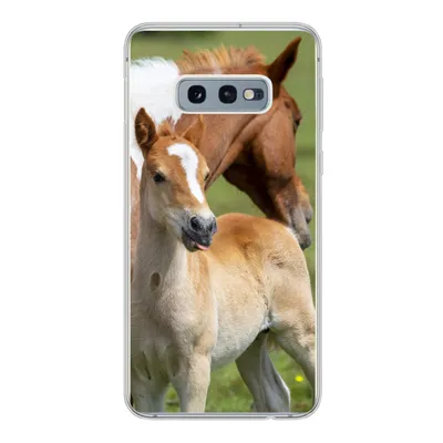 Produktbild von MuchoWow® Handyhülle Schutzhülle Hülle für Samsung Galaxy S10e Pferde - Fohlen - Gras Silikon Softcase Handy Hülle - Handy