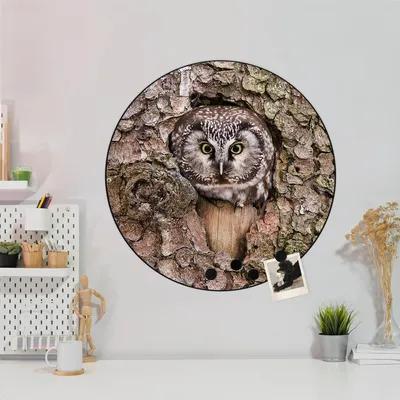 Produktbild von Design Stahlmagnettafel Schwarz Rund 47cm Eule