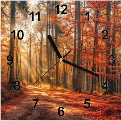 Produktbild von Wanduhr aus Glas mit Motiv Herbstlicher Waldweg- 30 x 30 cm - inkl. Aufhängesystem