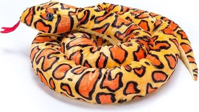 A plush toy snake coiled on a white background.