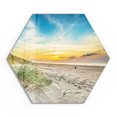 Produktbild von DEQORI Glasbild Echtglas 55x48 cm 'Baltischer Dünenstrand' Wandbild Bild modern Deko