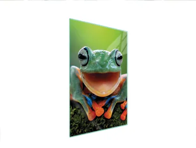 Produktbild von Glasschneidebrett 35x52 Frosch